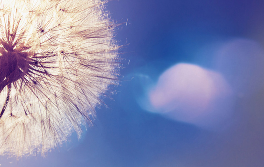 OB欧宝(中国游)官方网站