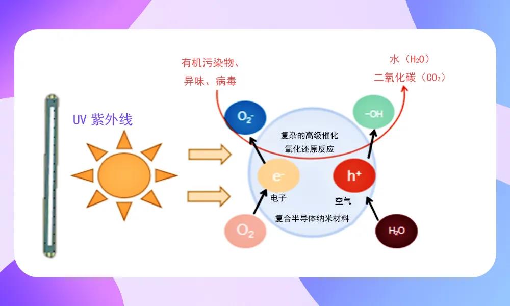 尊龙凯时-人生就是搏(中国)官方网站