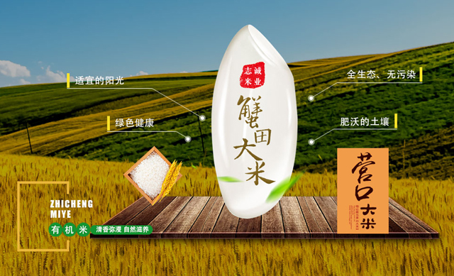 首页| CA88公司中国唯一官方网站